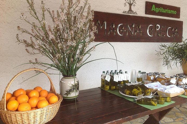 Tour de 7 horas por Katakolon: Olympia-Honey Farm-Winery-Beach