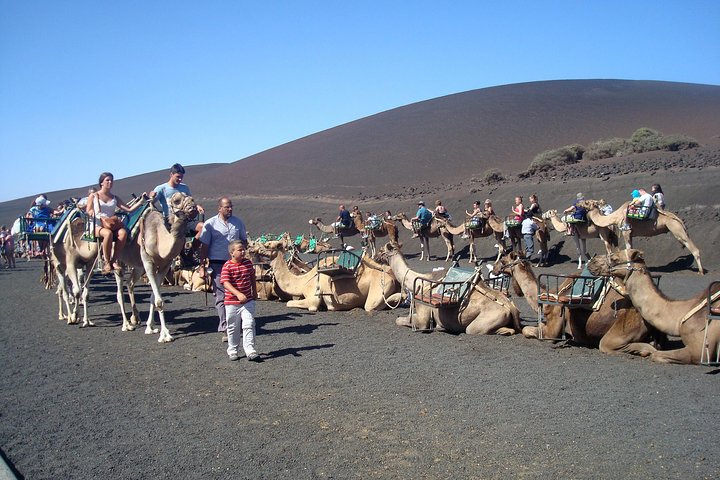 Volledige dagtour naar Timanfaya, Green Lagoon en La Geria