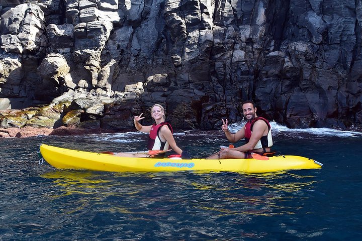 Tenerife: Turtle og delfin kajakk tur med snorkling og våtdrakt