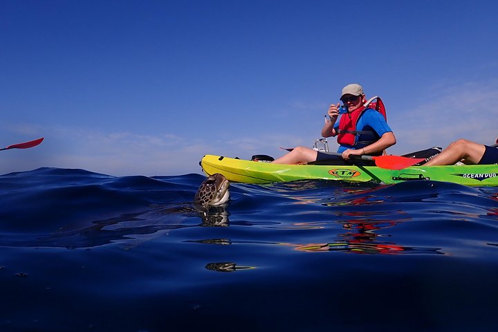 Tenerife: Turtle og delfin kajakk tur med snorkling og våtdrakt