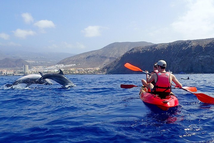 Tenerife: Turtle og delfin kajakk tur med snorkling og våtdrakt