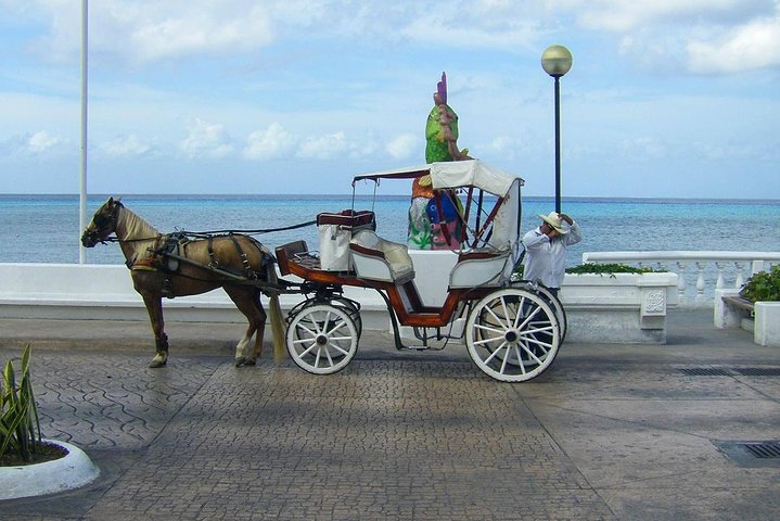 Aventura Cozumel