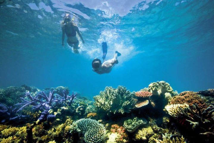 Aventura Cozumel