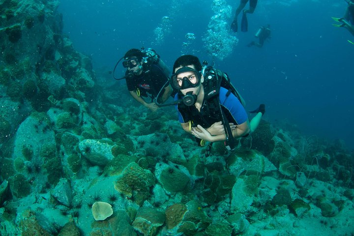 Dykking på Koh Chang – 2 dykker