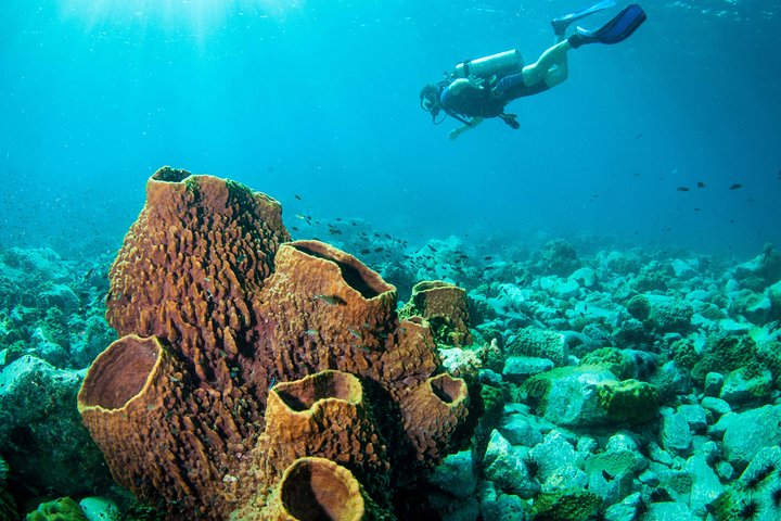 Dykking på Koh Chang – 2 dykker