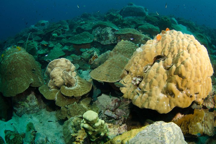 Snorkel eventyr på Koh Chang – afrejse fra Koh Chang