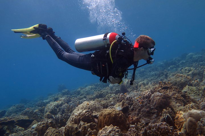 Entdecken Sie Sporttauchen, probieren Sie Tauchen für Anfänger aus (beginnt ab Koh Chang)