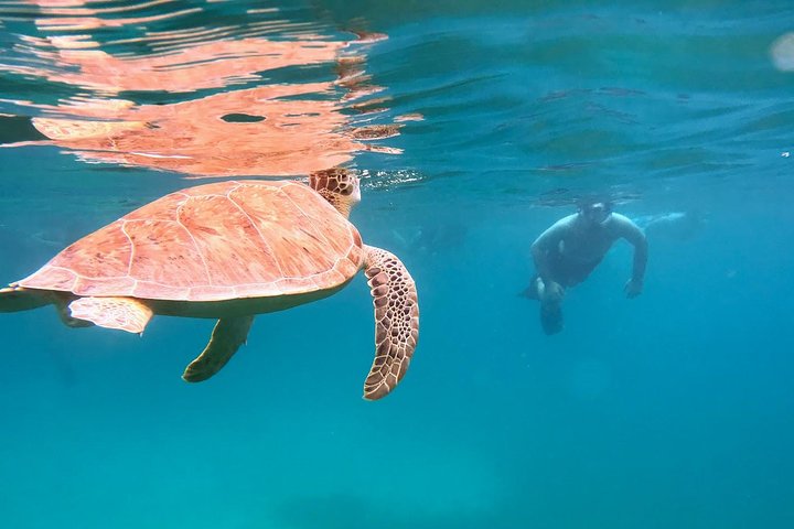 Culebra Snorkel avec Tortues & Flamenco Beach Adventure en Ferry
