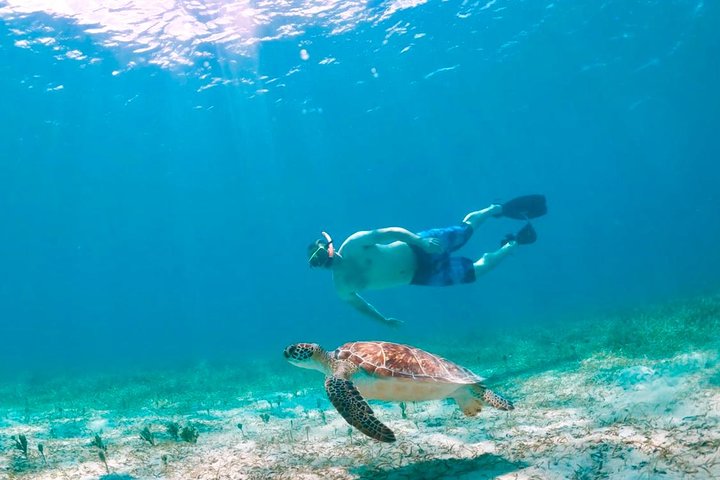 Culebra Snorkel avec Tortues & Flamenco Beach Adventure en Ferry