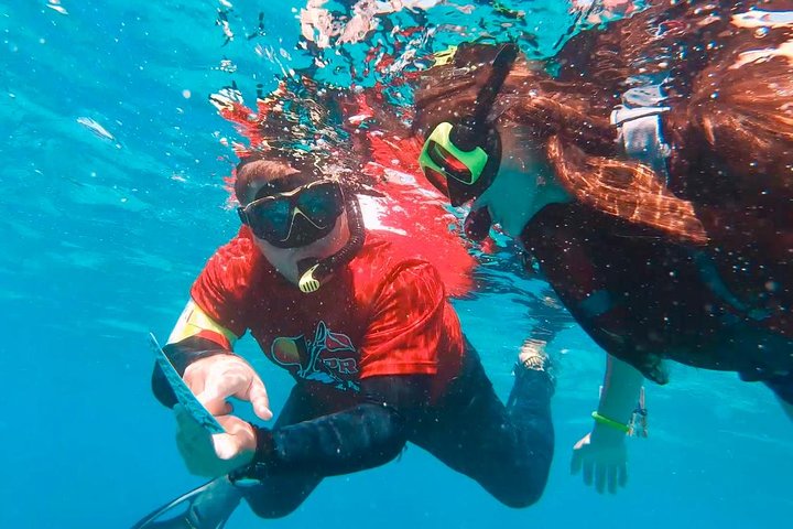 Culebra Snorkel avec Tortues & Flamenco Beach Adventure en Ferry