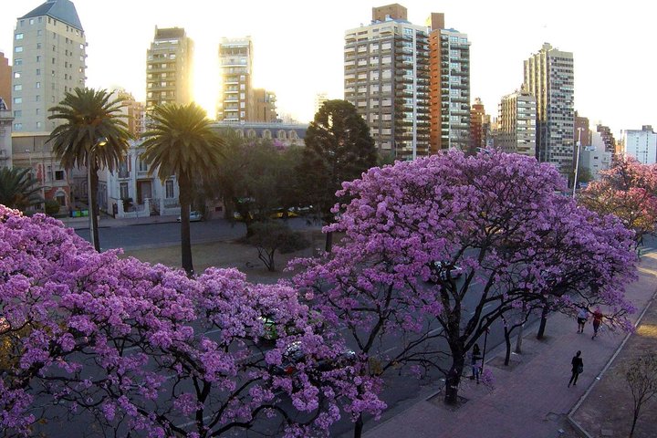 Tour por la ciudad de Córdoba con plaza jesuítica opcional