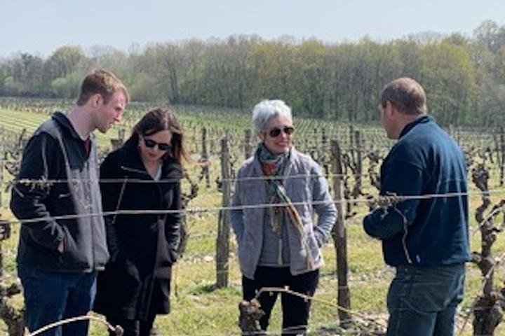 Visites des vignobles de la Loire en anglais au départ de Chinon