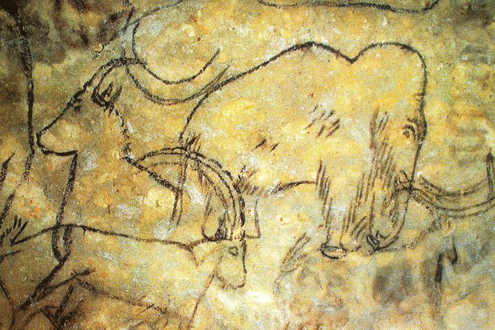 Dordogne Day Tour : Prehistory and The Art of the Caves from Sarlat