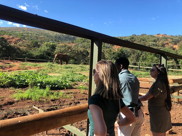 Tour zum Elefanten- und Affenschutzgebiet ab Johannesburg