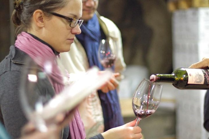 Tour privato di vino e olio nella regione del vino Priorat