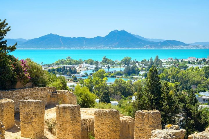 Cartago, Museo del Bardo, Sidi Bou Said y Medina Tour privado de un día