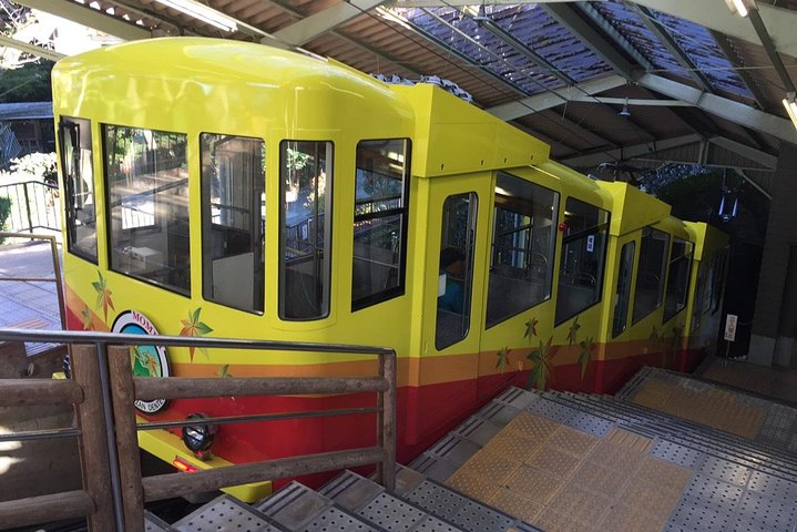 Escursione di un'intera giornata al Monte Takao, inclusa la sorgente termale