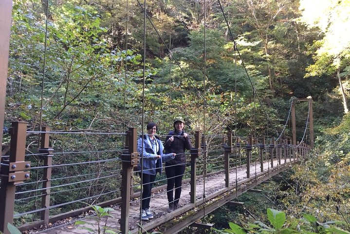 Escursione di un'intera giornata al Monte Takao, inclusa la sorgente termale