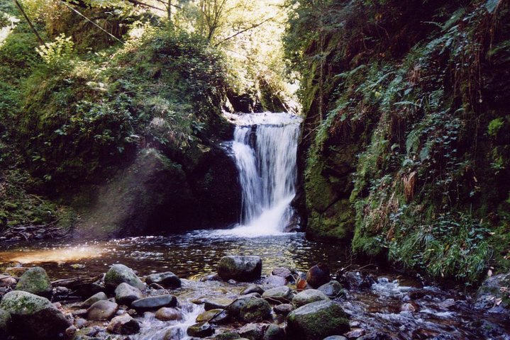 Foresta Nera. Da Baden-Baden a Strasburgo. Due paesi in un giorno