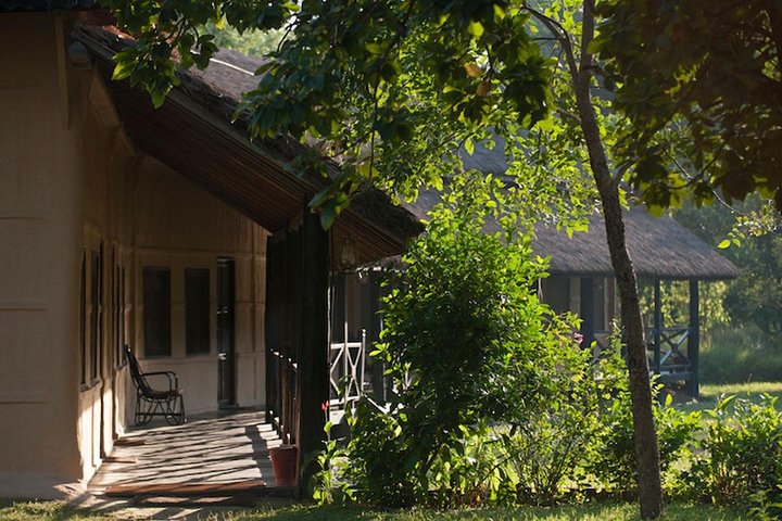 Paquete del Parque Nacional Bardia con Tiger Tops Karnali Lodge