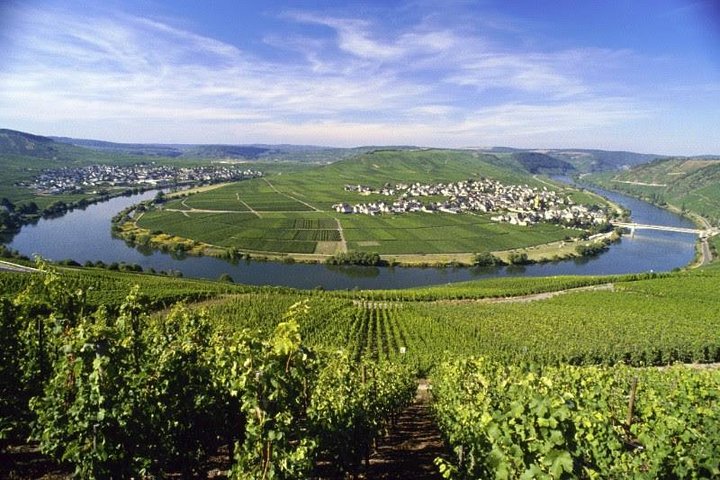 Por amor al Riesling: tour del vino del Mosela