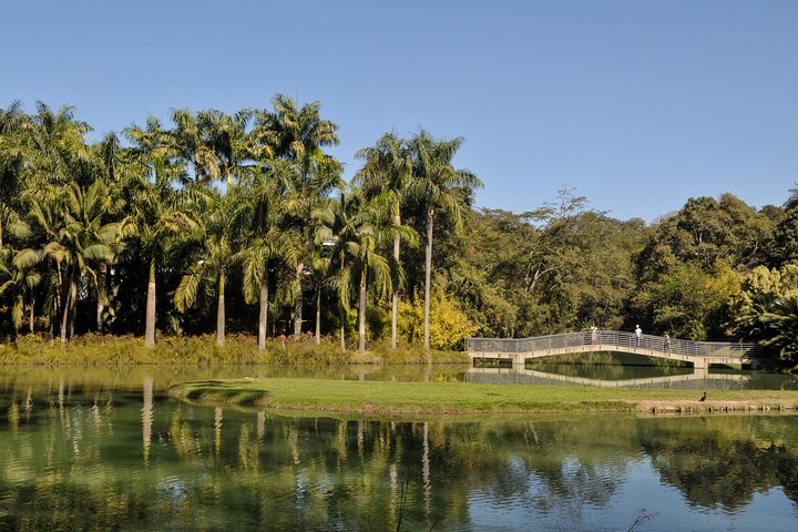 Inhotim - um dos maiores museus ao ar livre do mundo