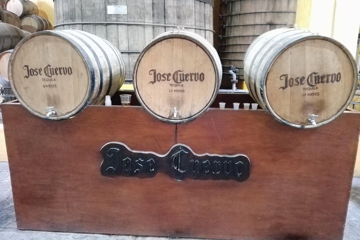 Gita di un giorno in tequila da Guadalajara con Jose Cuervo Express Train