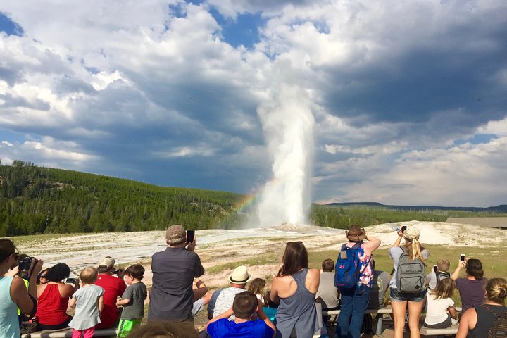 Visite privée de Yellowstone : sites emblématiques, faune, randonnées familiales + déjeuner