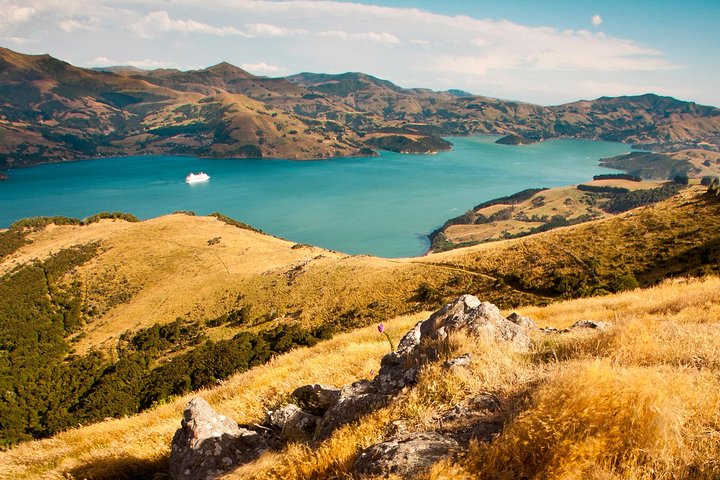 Privat dag naturskjønn ekskursjon til Akaroa/Christchurch ex Lyttelton