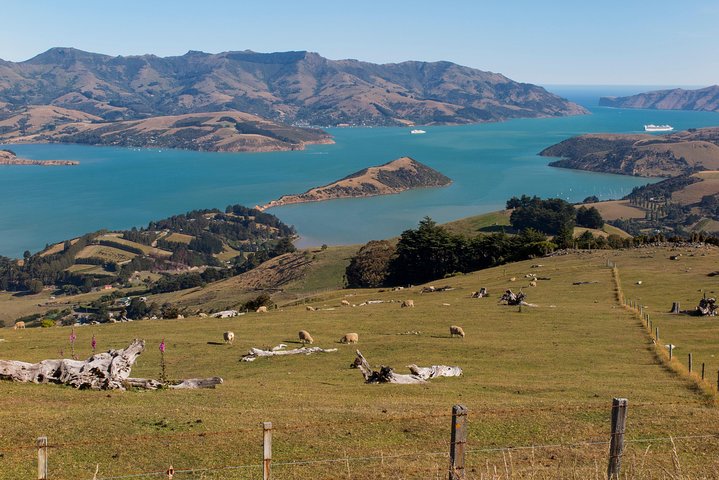 Privat dag naturskjønn ekskursjon til Akaroa/Christchurch ex Lyttelton