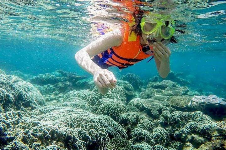 De Mui Ne Para Vinh Hy Bay Snorkeling E Excursão De Pesca | Viagem do dia