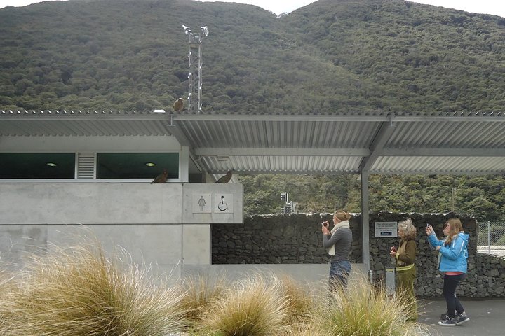 Arthurs Pass et excursion d'une journée dans les Alpes du Sud depuis Port Lyttelton ou Christchurch