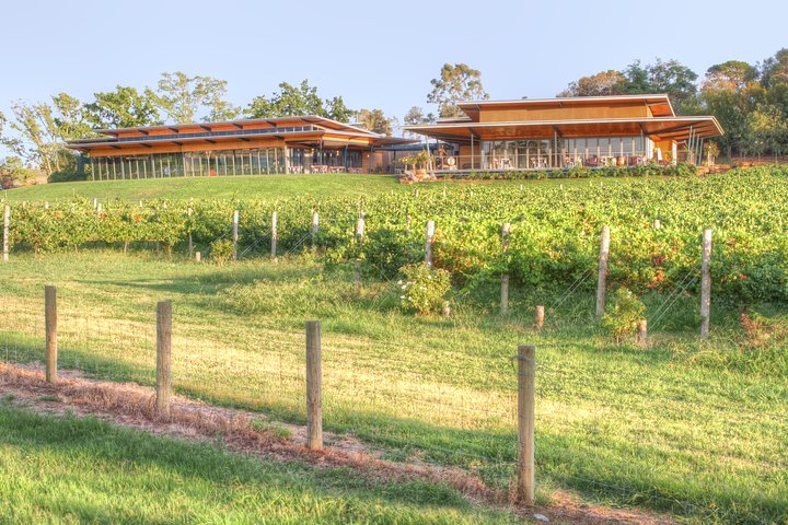 Yarra Valley Wine & Winery Tour fra Melbourne - All Inclusive!