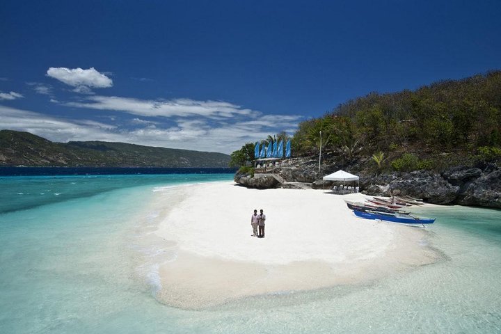 Whale Shark & Tumalog Falls & Sumilon Sandbar & Pescador Island med sardiner