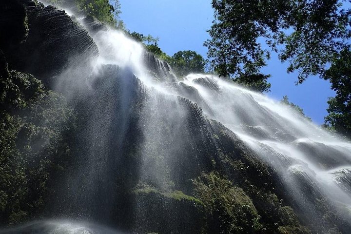 Whale Shark & Tumalog Falls & Sumilon Sandbar & Pescador Island med sardiner