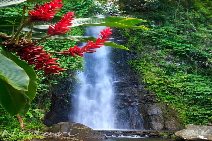 Tour por las cataratas Dark View con Trubb Taxi Tours SVG