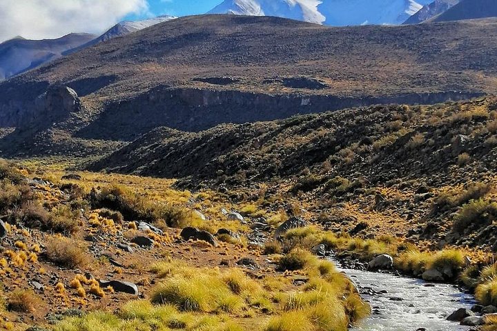 Fly Fishing on Private Andean River Including Barbecue Lunch