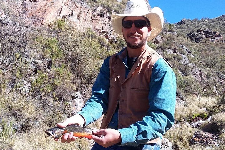 Fly Fishing on Private Andean River Including Barbecue Lunch