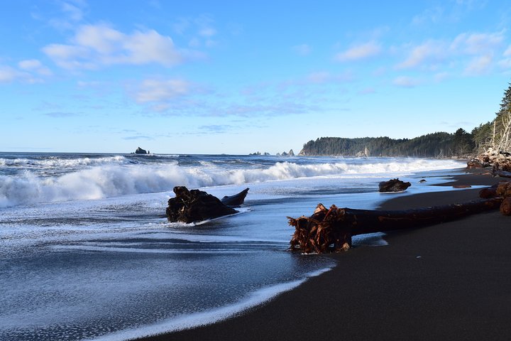 Hoh Rain Forest og Rialto Beach Guidet tur i Olympic National Park