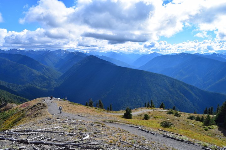 Rondleiding door Sol Duc, Lake Crescent en Hurricane Ridge in Olympic National Park