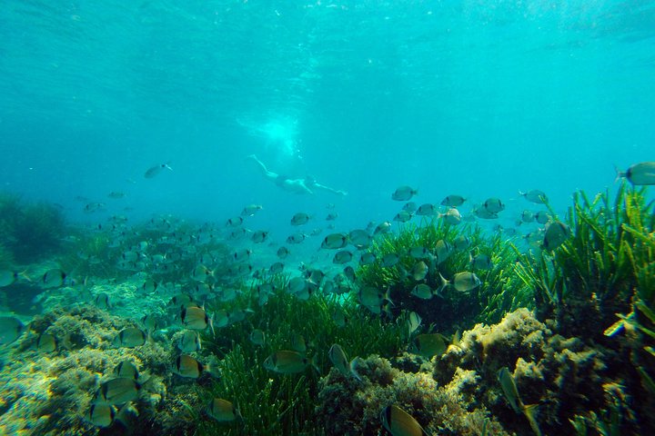 Cabo de Gata Attivo. Percorso guidato in kayak e snorkeling attraverso le calette del Parco Naturale