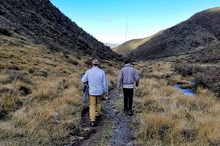 Fly Fishing on Private Andean River Including Barbecue Lunch