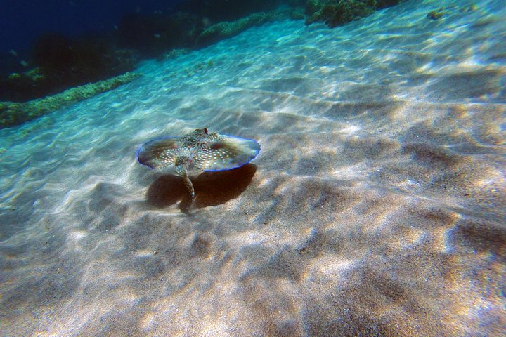 Cabo de Gata Attivo. Percorso guidato in kayak e snorkeling attraverso le calette del Parco Naturale