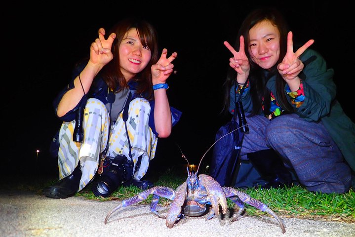Okinawa Ishigaki Island Night Tour notturno del cielo stellato e della giungla