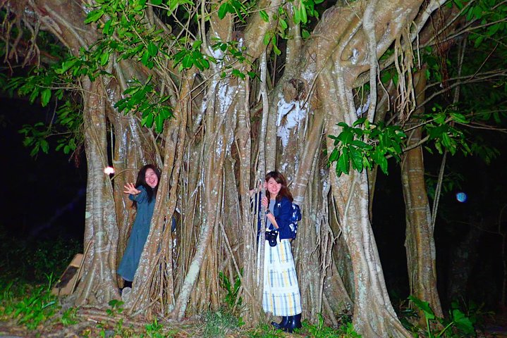 Okinawa Ishigaki Island Night Tour notturno del cielo stellato e della giungla