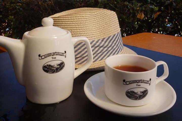 Cameron Highland beste dagstur fra Ipoh med lunsj (dagstur)