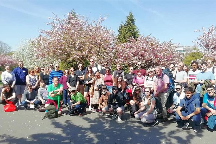 Recorrido a pie por lo más destacado de la ciudad de Swansea