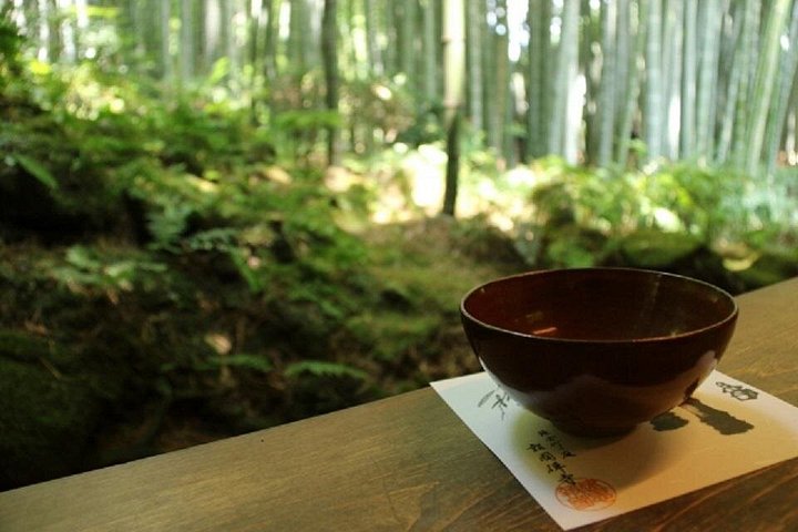 Kamakura Bamboo Forest och Great Buddha Private Tour