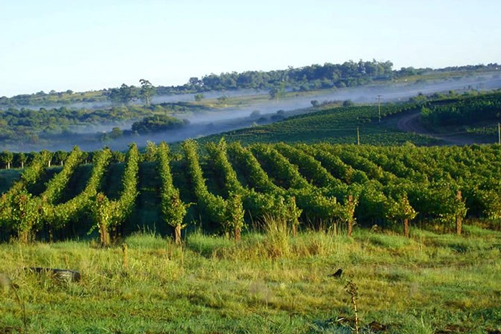 Vinícolas do Sul, Trem Maria Fumaça e Parque Temático Epopeia Italiana