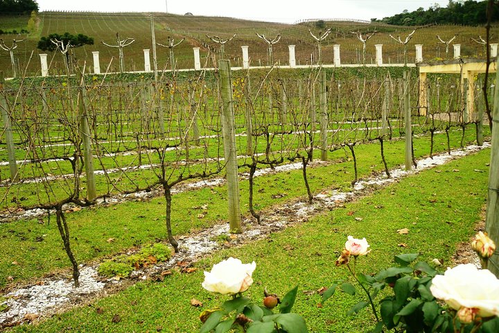 Vinícolas do Sul, Trem Maria Fumaça e Parque Temático Epopeia Italiana